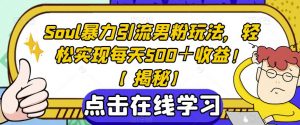 Soul暴力引流男粉玩法，轻松实现每天500＋收益！【揭秘】-阳知网创资源库