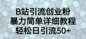B站引流创业粉,暴力简单详细教程,轻松日引流50+【揭秘】-阳知网创资源库
