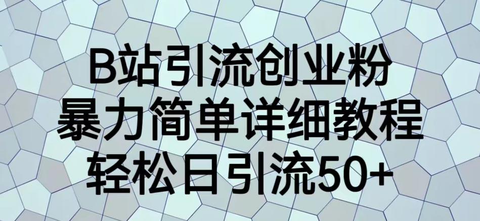 B站引流创业粉，暴力简单详细教程，轻松日引流50+【揭秘】-阳知网创资源库