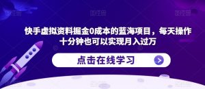 快手虚拟资料掘金0成本的蓝海项目,每天操作十分钟也可以实现月入过万【揭秘】-阳知网创资源库