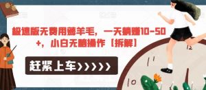 极速版无费用薅羊毛,一天躺赚10-50+,小白无脑操作【拆解】-阳知网创资源库