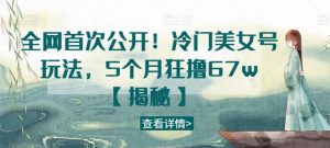 全网首次公开!冷门美女号玩法,5个月狂撸67w【揭秘】-阳知网创资源库