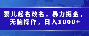 婴儿起名改名，暴力掘金，无脑操作，日入1000+【揭秘】-阳知网创资源库