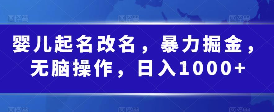 婴儿起名改名，暴力掘金，无脑操作，日入1000+【揭秘】-阳知网创资源库