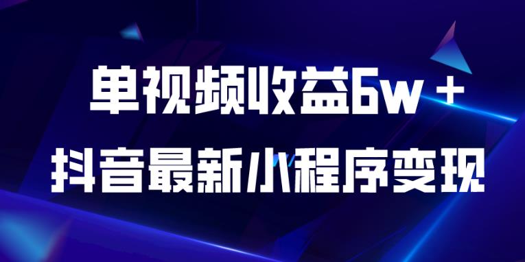 抖音最新小程序变现项目，单视频收益6w＋，小白可做【揭秘】-阳知网创资源库