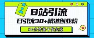 B站引流日引流30+精准创业粉,超详细B站引流创业粉玩法【揭秘】-阳知网创资源库