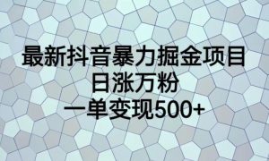 最新抖音暴力掘金项目，日涨万粉，一单变现500+【揭秘】-阳知网创资源库