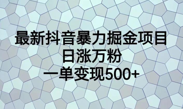 最新抖音暴力掘金项目，日涨万粉，一单变现500+【揭秘】-阳知网创资源库
