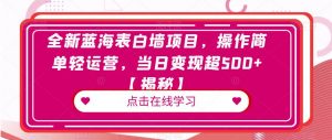 全新蓝海表白墙项目，操作简单轻运营，当日变现超500+【揭秘】-阳知网创资源库