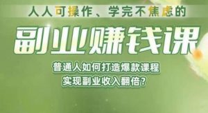 人人可操作、学完不焦虑的副业赚钱课,普通人如何打造爆款课程,实现副业收入翻倍-阳知网创资源库