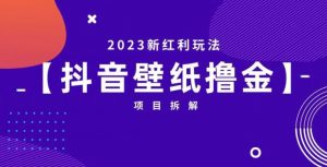 抖音壁纸小程序创作者撸金项目,2023新红利玩法【项目拆解】-阳知网创资源库
