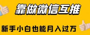 靠做微信互推，新手小白也能月入过万【揭秘】-阳知网创资源库
