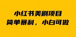 外面卖1980的小红书美剧项目,单日收益1000+,小众暴利的赛道【揭秘】-阳知网创资源库