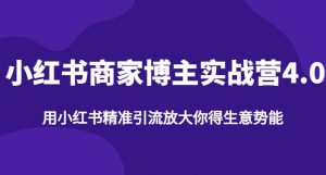 【推荐】小红书商家博主精准引流实战营4.0，用小红书放大你的生意势能-阳知网创资源库
