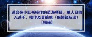 适合在小红书操作的蓝海项目，单人日收入过千，操作及其简单（保姆级玩法）【揭秘】-阳知网创资源库