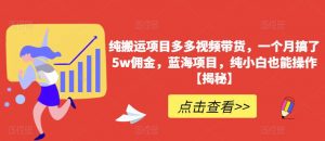 纯搬运项目多多视频带货，一个月搞了5w佣金，蓝海项目，纯小白也能操作【揭秘】-阳知网创资源库