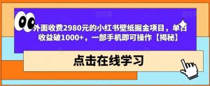 外面收费2980元的小红书壁纸掘金项目，单日收益破1000+，一部手机即可操作【揭秘】-阳知网创资源库