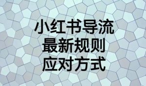 小红书导流最新规则应对方式【揭秘】-阳知网创资源库