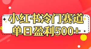 小红书冷门赛道,单日盈利500+【揭秘】-阳知网创资源库