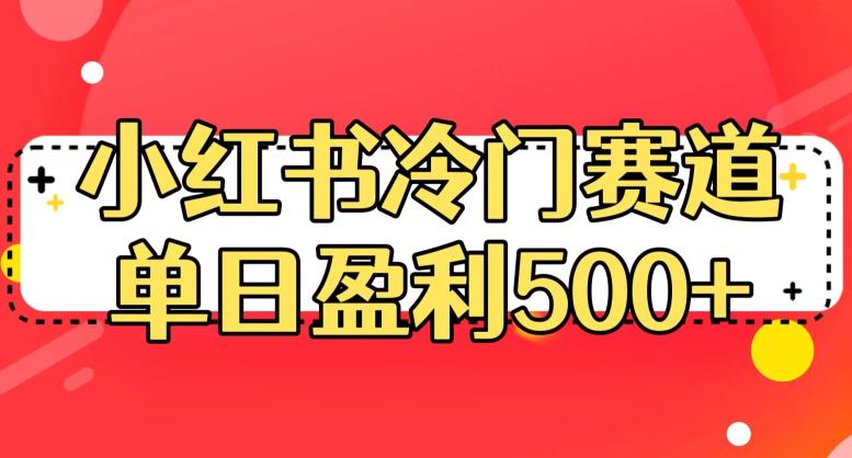 小红书冷门赛道，单日盈利500+【揭秘】-阳知网创资源库