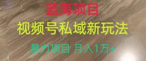 蓝海项目，视频号私域新玩法，暴力项目月入1万+【揭秘】-阳知网创资源库