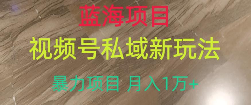 蓝海项目,视频号私域新玩法,暴力项目月入1万+【揭秘】-阳知网创资源库
