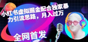 小红书虚拟掘金配合独家首发暴力引流思路,月入过万【揭秘】-阳知网创资源库