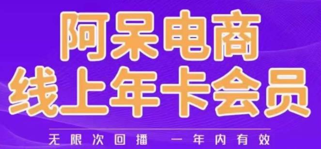 阿呆电商线上年会员,阿呆电商干货分享(更新中)-阳知网创资源库