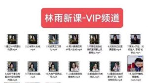 林雨新课VIP频道,玩赚私域/朋友圈/社群-阳知网创资源库