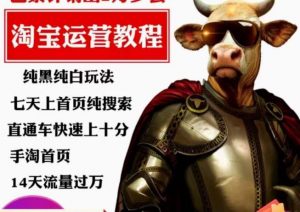 猫老师·淘系算法逆向解密,纯黑纯白玩法,七天上首页纯搜索,手淘首页14天流量过万-阳知网创资源库
