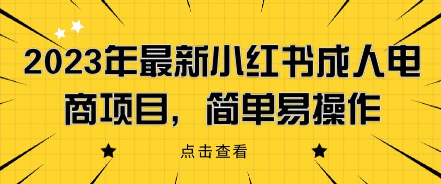 2023年最新小红书成人电商项目，简单易操作【详细教程】【揭秘】-阳知网创资源库