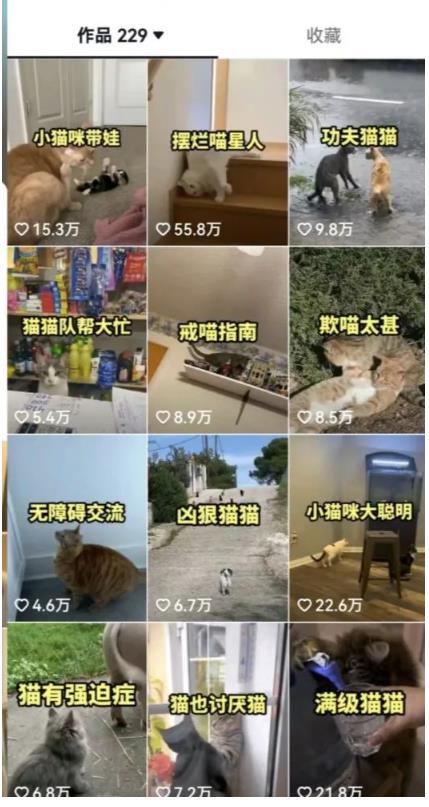 拆解:抖音盘点类中视频变现副业项目,视频版一条龙大解析分享给你-阳知网创资源库