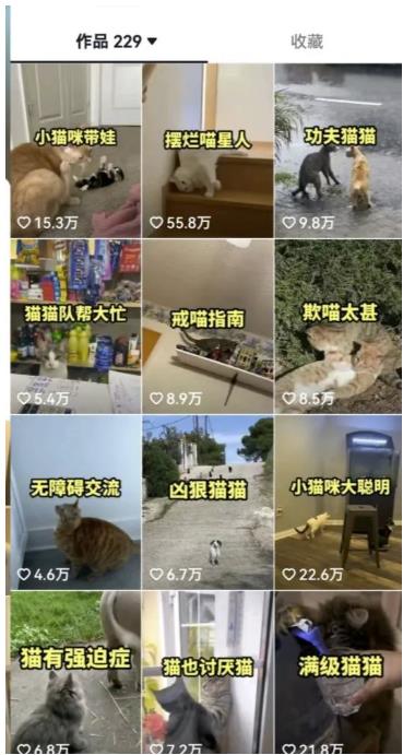 拆解抖音盘点类中视频变现副业项目，视频版一条龙大解析分享给你【视频课程】-阳知网创资源库