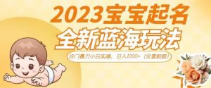 抖音美女图文+音乐推广5.0版本,单日单号500+,0本0粉可矩阵,五分钟一个视频【揭秘】-阳知网创资源库
