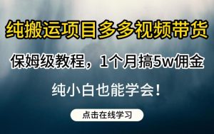 纯搬运项目多多视频带货保姆级教程,1个月搞5w佣金,纯小白也能学会【揭秘】-阳知网创资源库