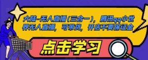大陆-无人直播(三合一),腾讯qq小世界无人直播,可带货,开店不要保证金-阳知网创资源库