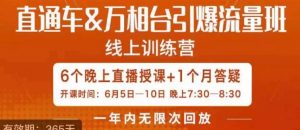 直通车&万相台引爆流量班,6天打通你开直通车·万相台的任督二脉-阳知网创资源库