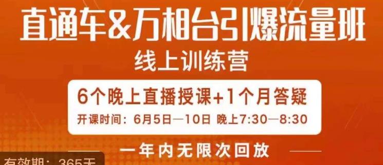 直通车&万相台引爆流量班,6天打通你开直通车·万相台的任督二脉-阳知网创资源库