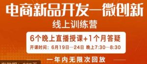 南掌柜·电商新品开发——微创新，电商新品微创新是你企业发展的护城河-阳知网创资源库