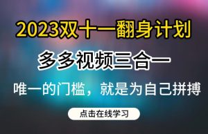 2023双十一翻身计划,多多视频带货三合一玩法教程【揭秘】-阳知网创资源库
