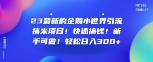 23最新的企鹅小世界引流搞米项目!快速搞钱!新手可做!轻松日入300+【揭秘】-阳知网创资源库