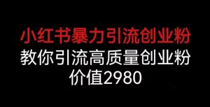 小红书暴力引流创业粉，教你引流高质量创业粉，价值2980【揭秘】-阳知网创资源库