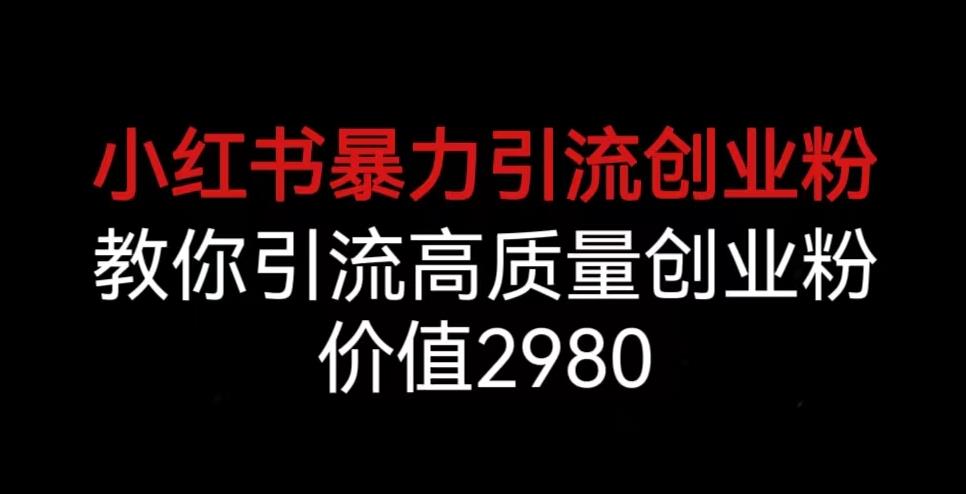 小红书暴力引流创业粉，教你引流高质量创业粉，价值2980【揭秘】-阳知网创资源库