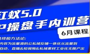 红蚁5.0IP操盘手内训营，IP操盘终极方法论-阳知网创资源库