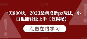 一天800块,2023最新反撸pz玩法,小白也能轻松上手【仅揭秘】-阳知网创资源库