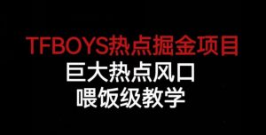 TFBOYS热点掘金项目，巨大热点风口，喂饭级教学-阳知网创资源库
