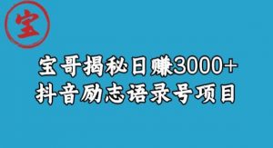 宝哥揭秘日赚3000+抖音励志语录号短视频变现项目-阳知网创资源库
