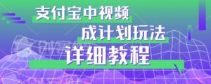 避坑玩法:支付宝中视频分成计划玩法实操详解【揭秘】-阳知网创资源库