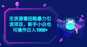 2023无货源莆田鞋暴力引流项目,新手小白也可实操日入1000+【揭秘】-阳知网创资源库