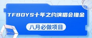 最新蓝海项目,靠最近非常火的TFBOYS十年之约演唱会流量掘金,八月必做的项目【揭秘】-阳知网创资源库